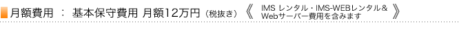 月額費用　：　基本保守費用　月額12万円（税抜き）